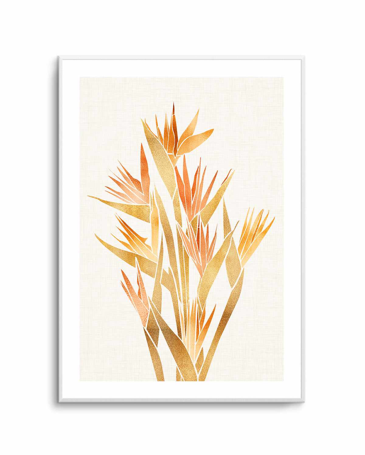 Bird of Paradise By Kristian Gallagher | Art Print