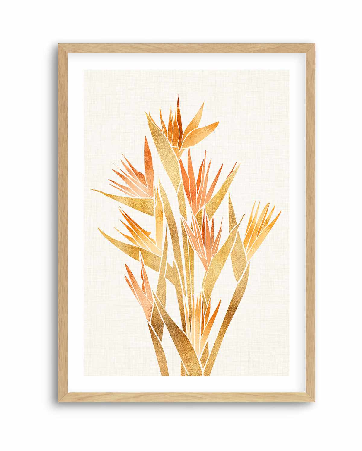 Bird of Paradise By Kristian Gallagher | Art Print