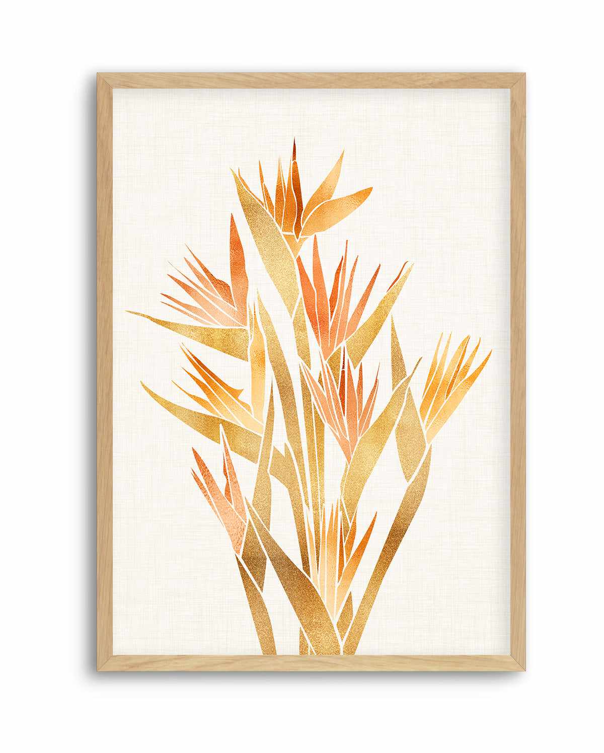 Bird of Paradise By Kristian Gallagher | Art Print