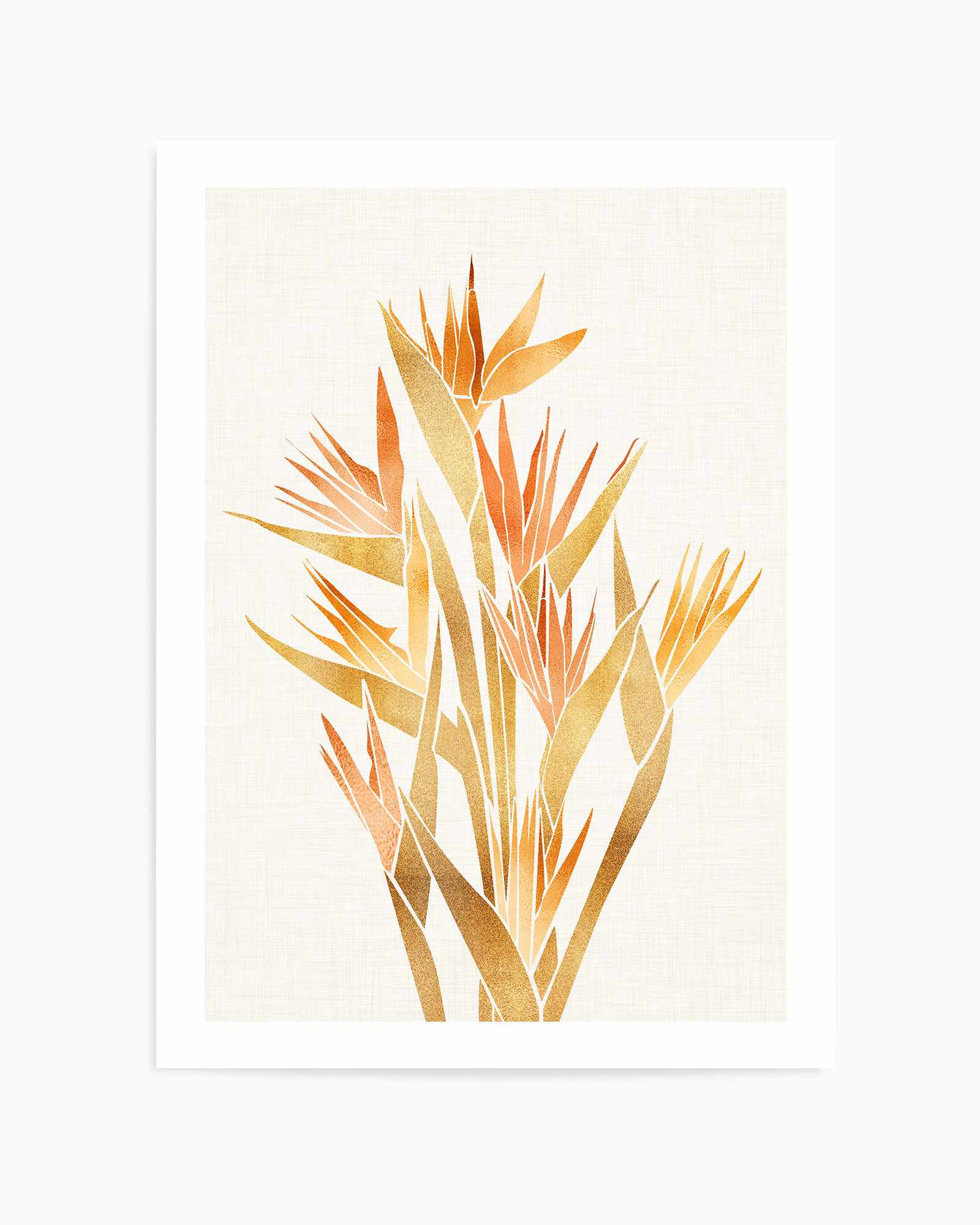 Bird of Paradise By Kristian Gallagher | Art Print