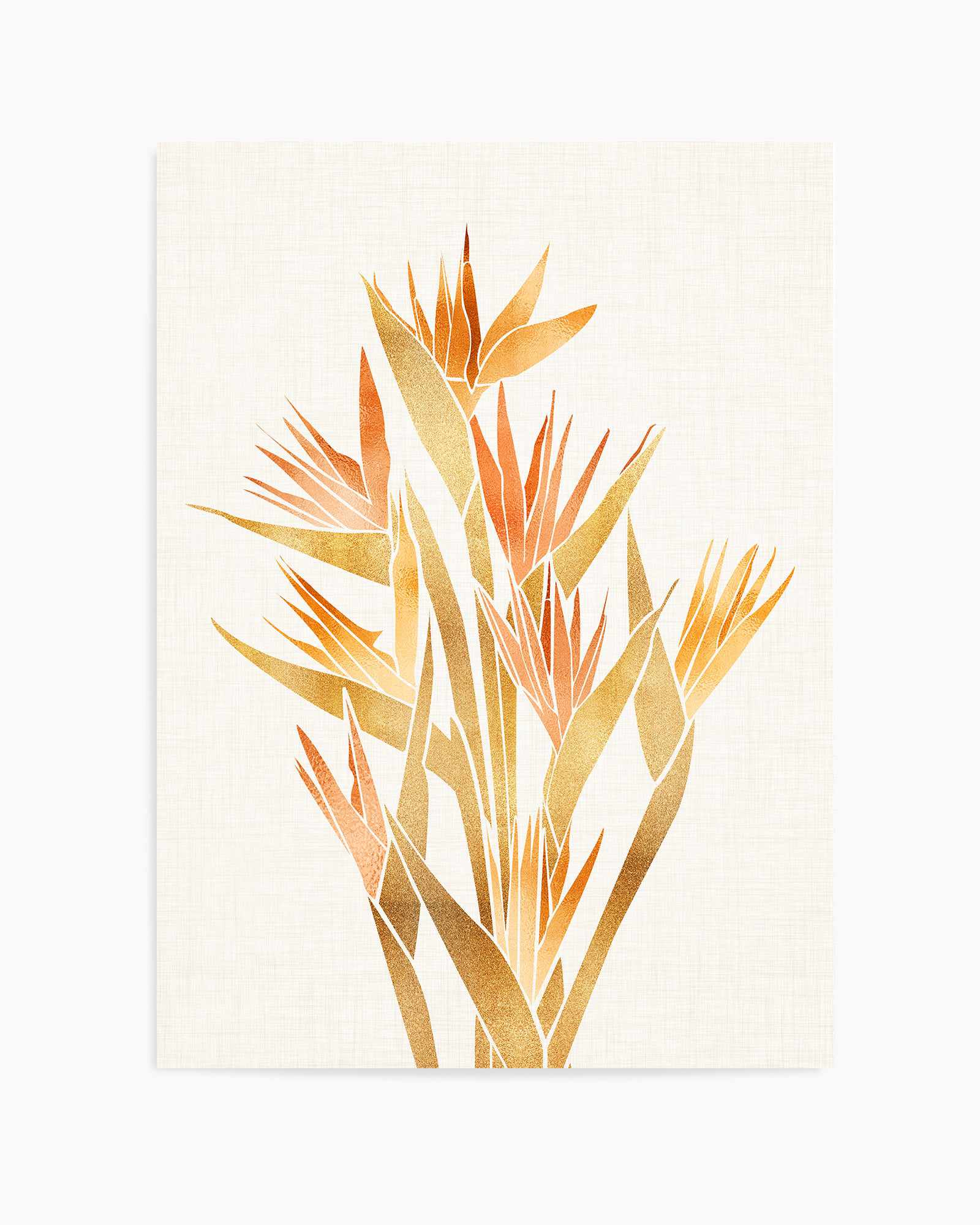 Bird of Paradise By Kristian Gallagher | Art Print