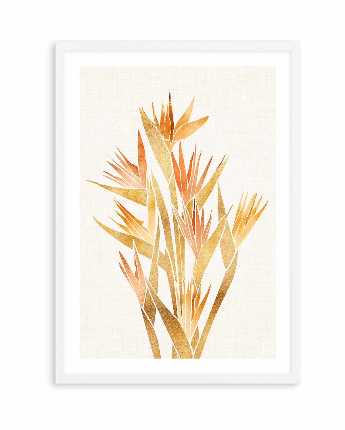 Bird of Paradise By Kristian Gallagher | Art Print