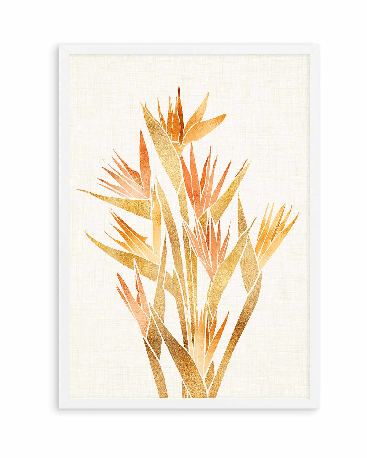 Bird of Paradise By Kristian Gallagher | Art Print