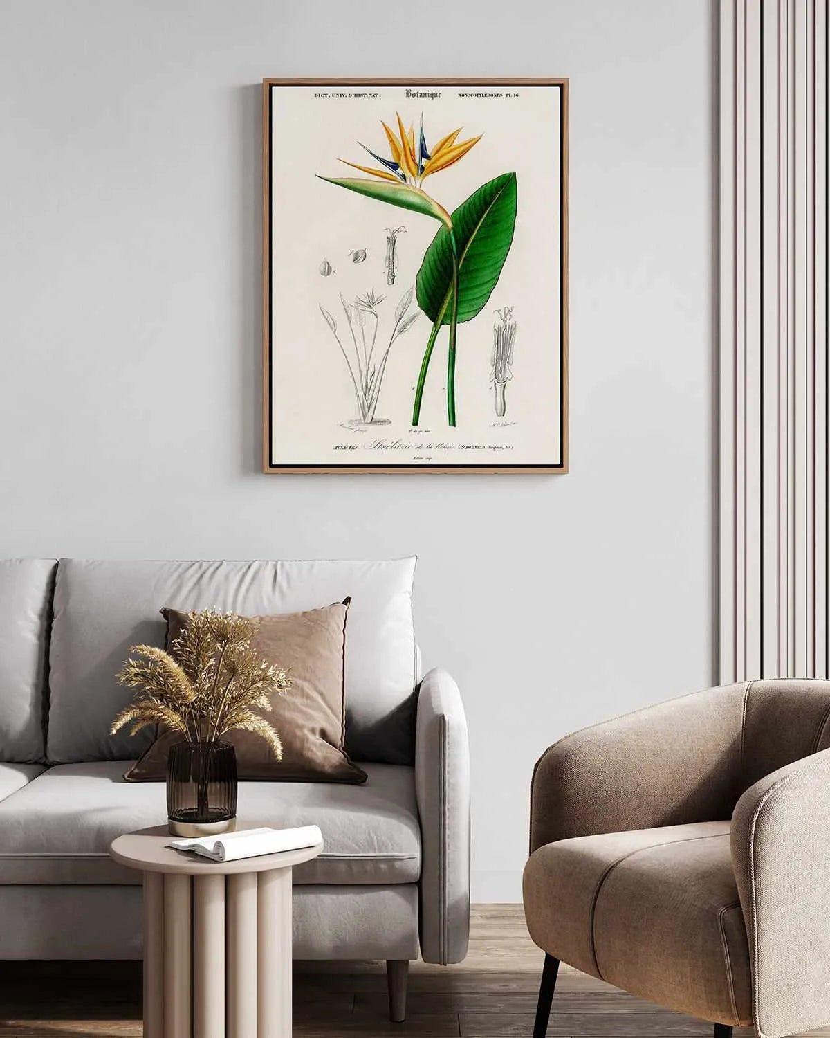 Bird of Paradise Vintage Illustration | Framed Canvas Art Print from Olive et Oriel where you can shop wallpaper and artworks online