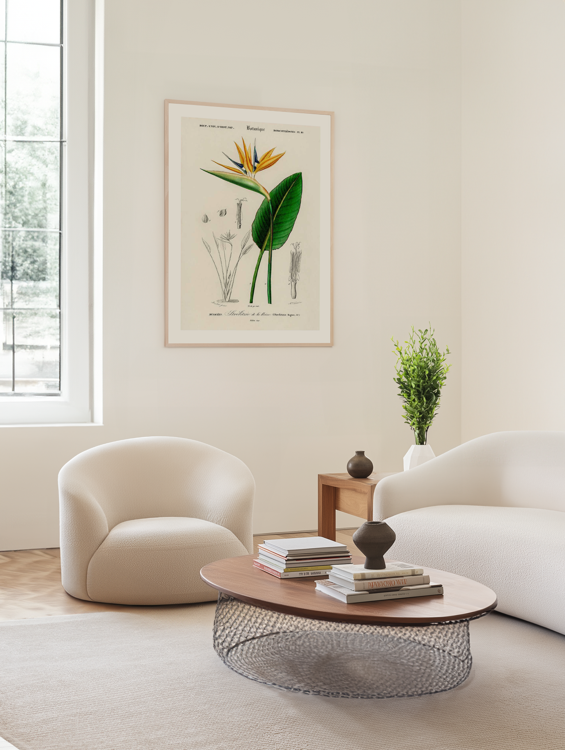 Bird of Paradise Vintage Illustration Art Print from Olive et Oriel where you can shop wallpaper and artworks online