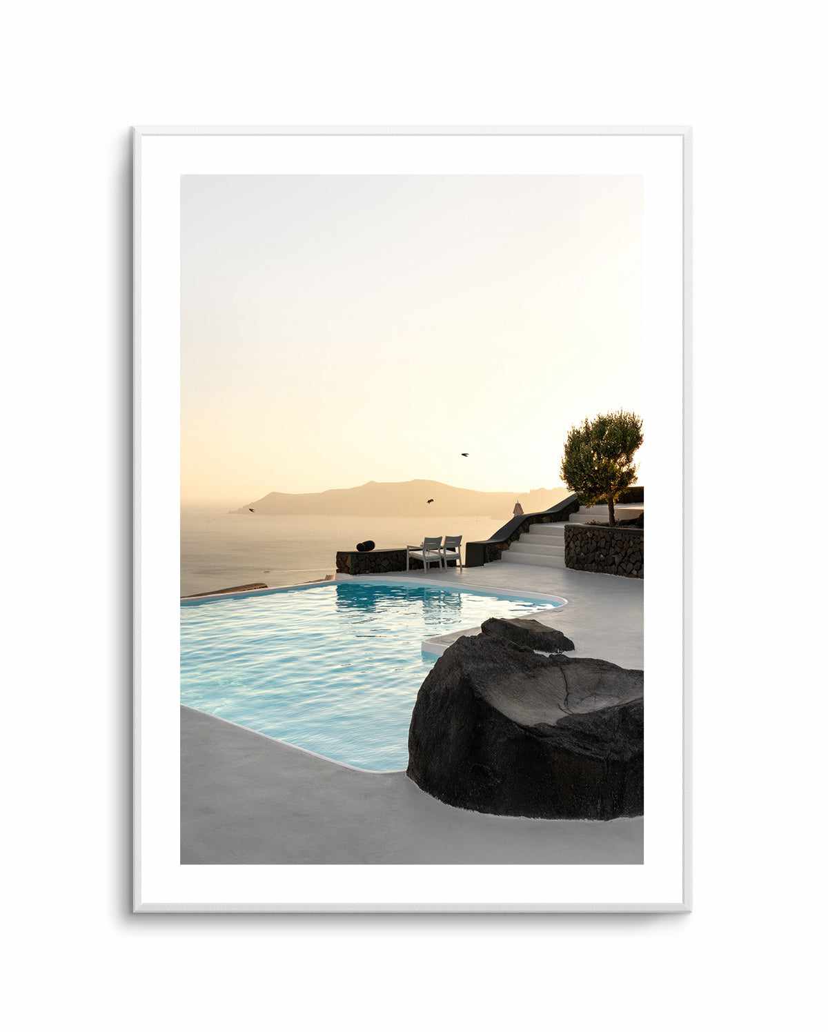 Birds Flying Over Swimming Pool By Minorstep | Art Print