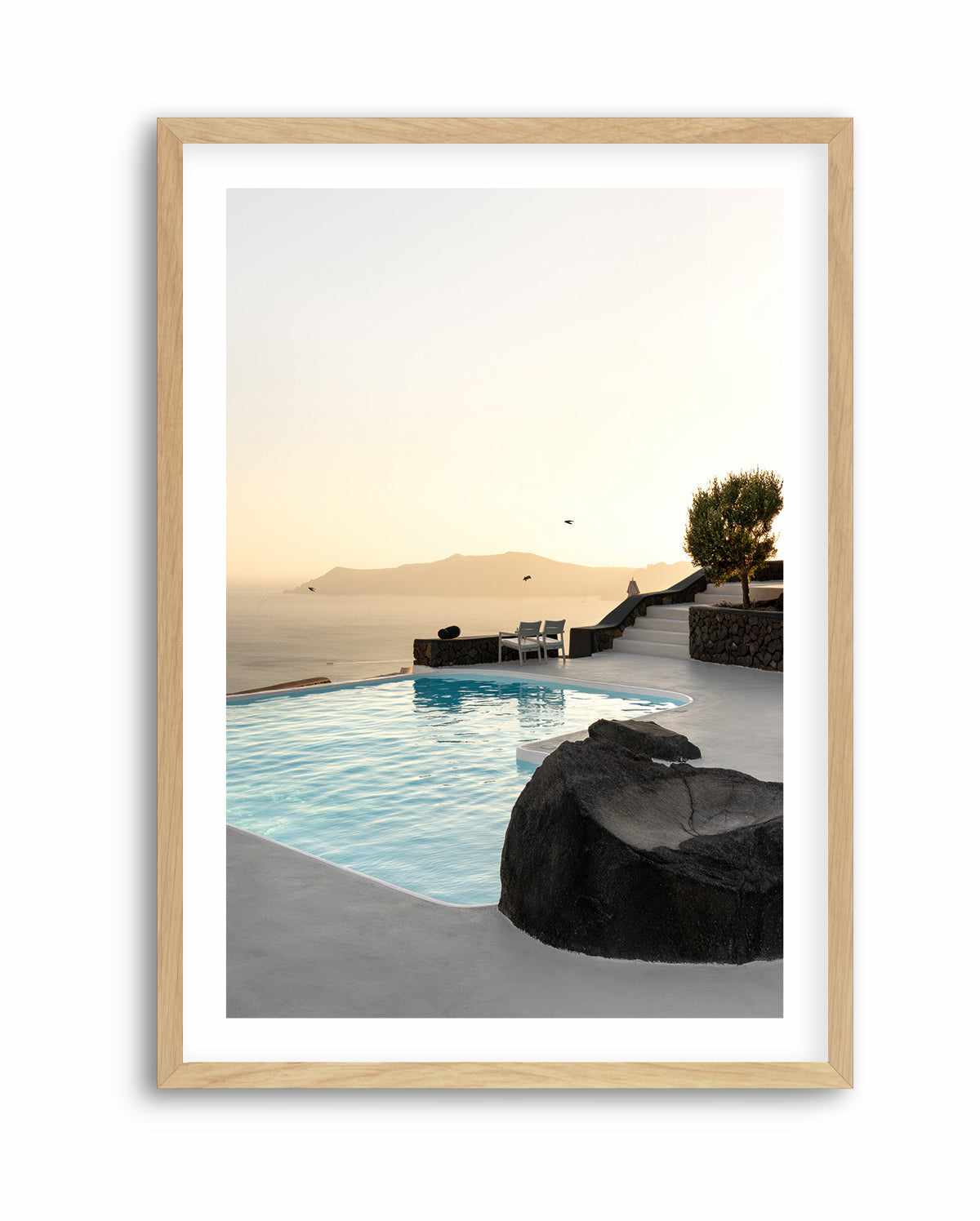 Birds Flying Over Swimming Pool By Minorstep | Art Print