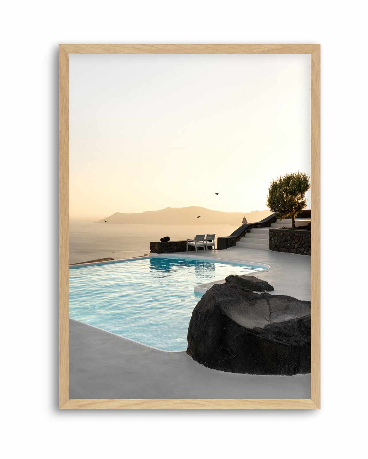 Birds Flying Over Swimming Pool By Minorstep | Art Print