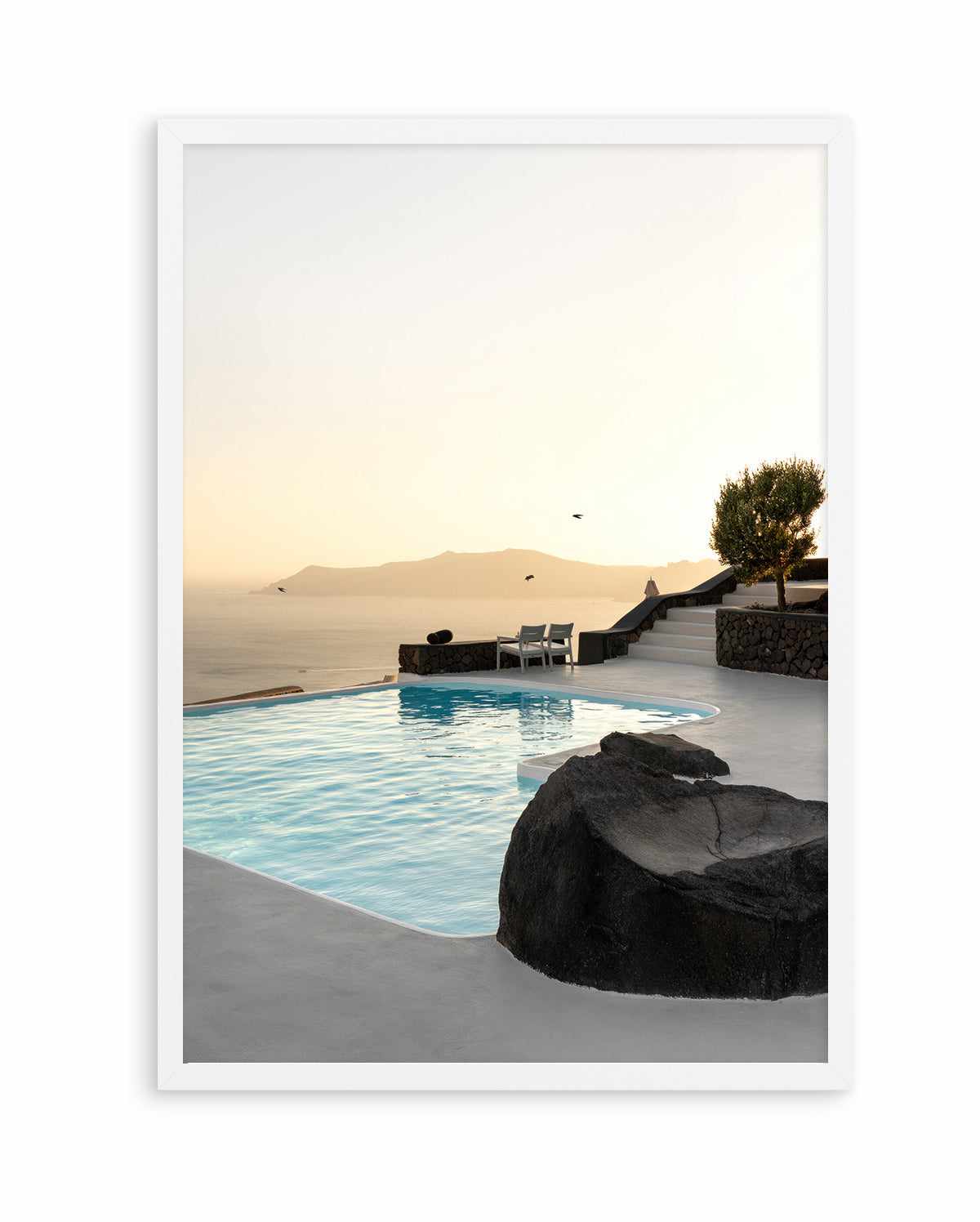 Birds Flying Over Swimming Pool By Minorstep | Art Print