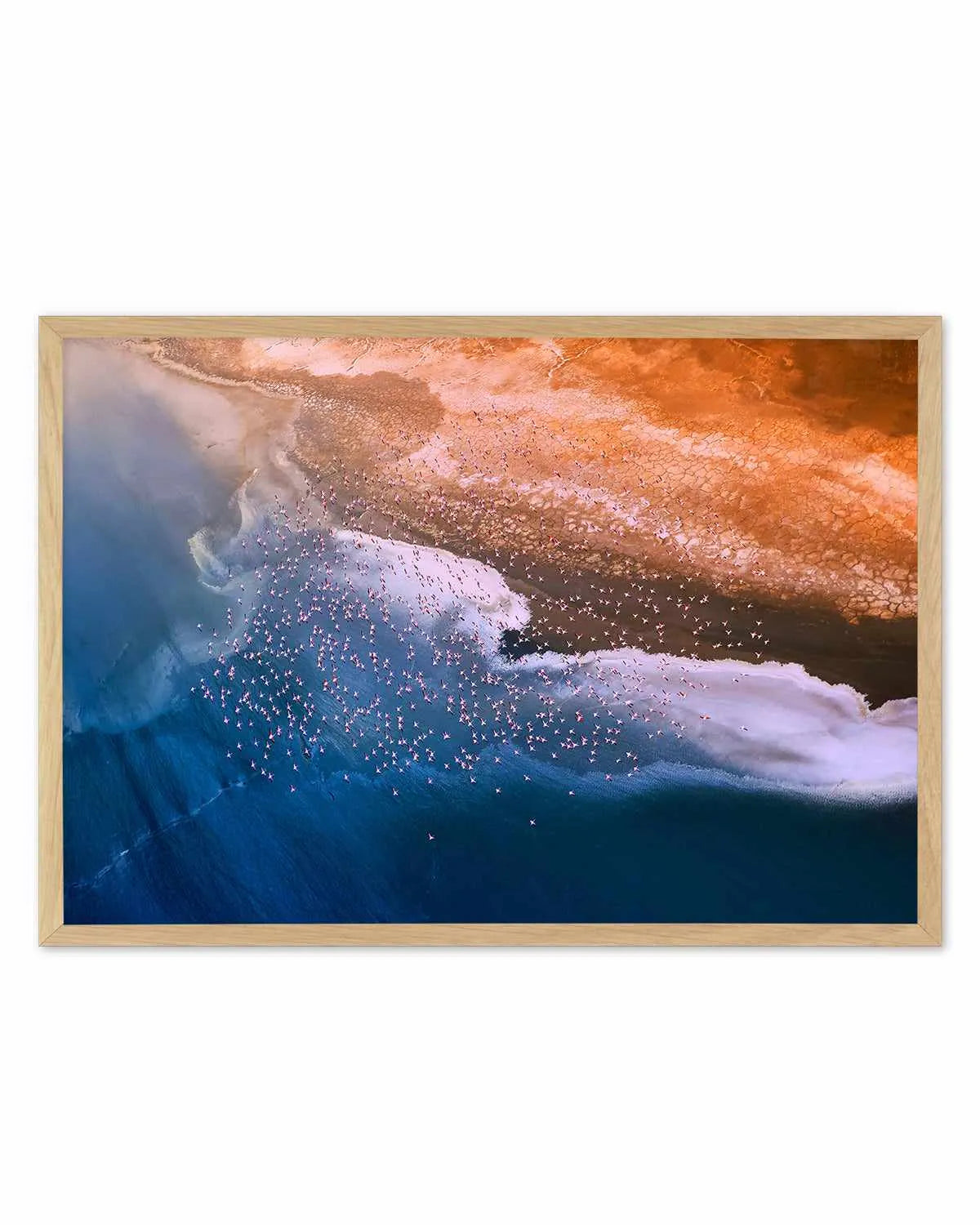 Birds in Flight by Phillip Chang Art Print from Olive et Oriel where you can shop wallpaper and artworks online