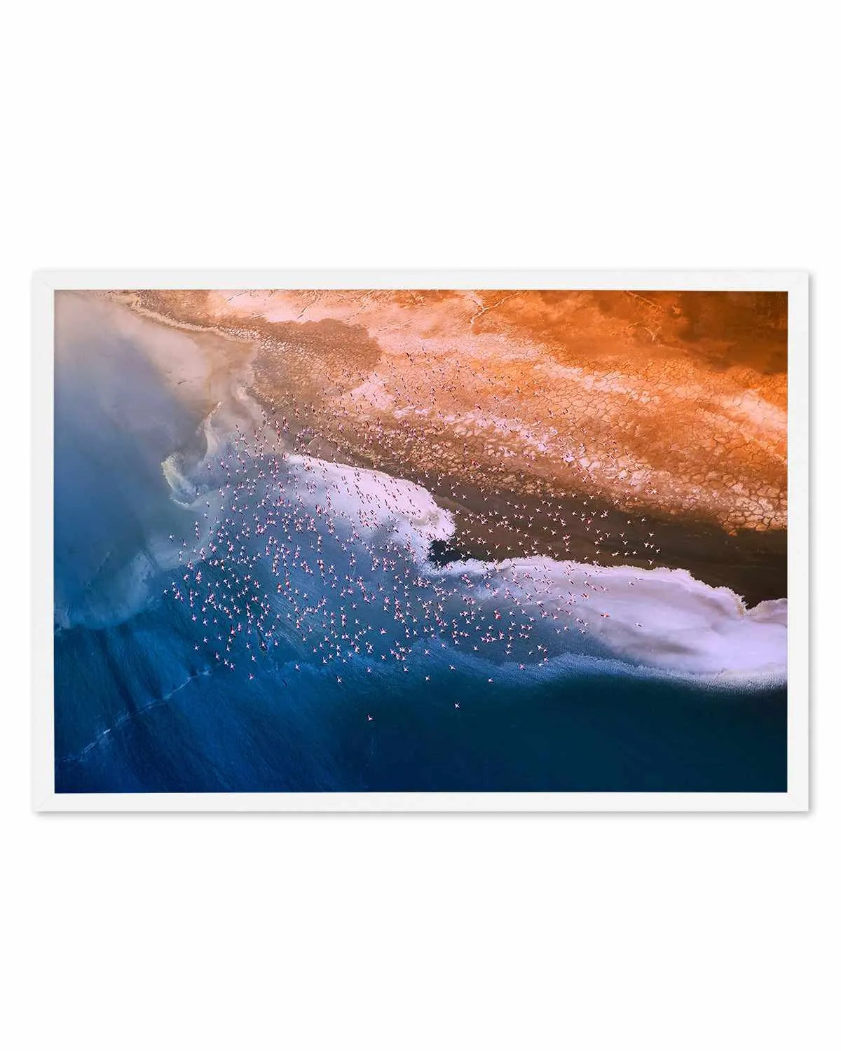 Birds in Flight by Phillip Chang Art Print from Olive et Oriel where you can shop wallpaper and artworks online