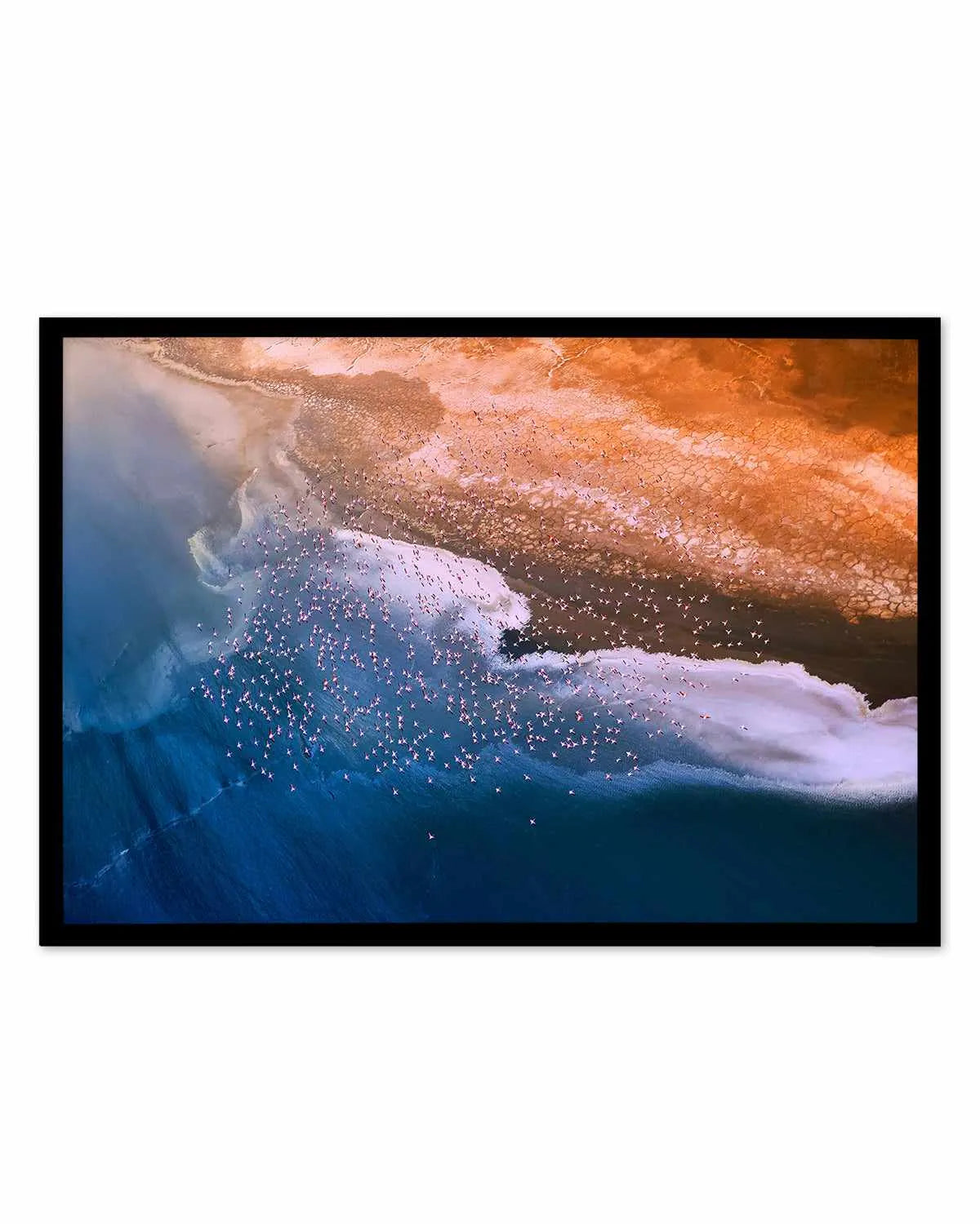 Birds in Flight by Phillip Chang Art Print from Olive et Oriel where you can shop wallpaper and artworks online