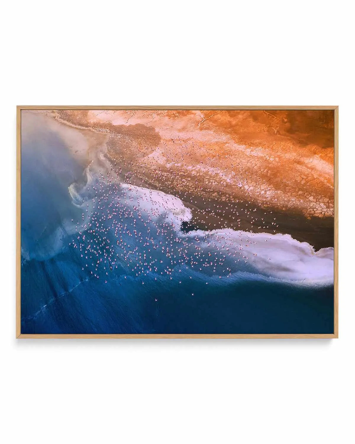 Birds in Flight by Phillip Chang | Framed Canvas Art Print from Olive et Oriel where you can shop wallpaper and artworks online