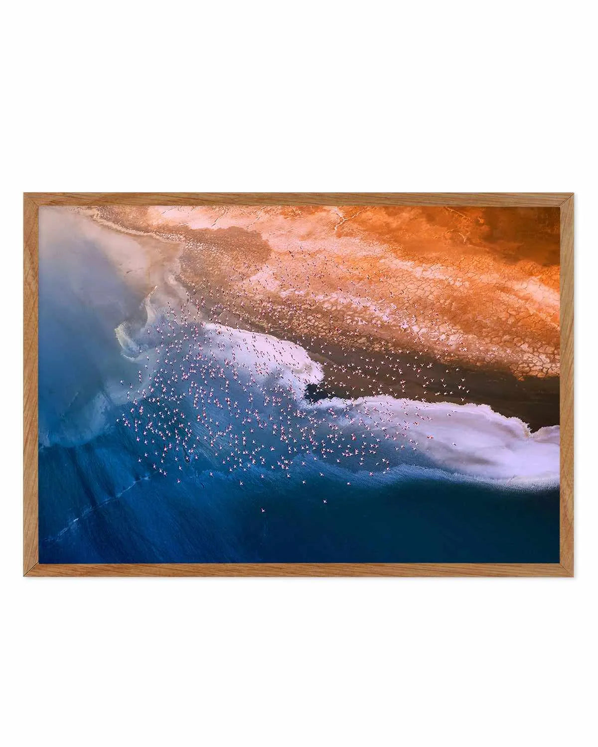 Birds in Flight by Phillip Chang Art Print from Olive et Oriel where you can shop wallpaper and artworks online