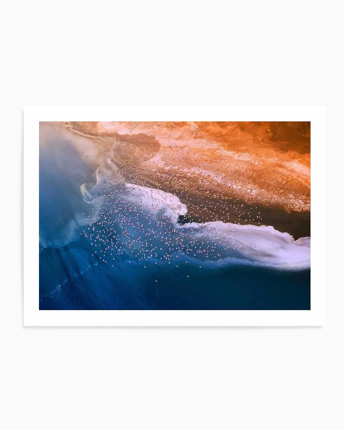 Birds in Flight by Phillip Chang Art Print from Olive et Oriel where you can shop wallpaper and artworks online