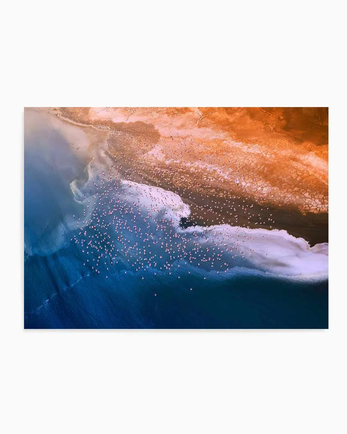 Birds in Flight by Phillip Chang Art Print from Olive et Oriel where you can shop wallpaper and artworks online