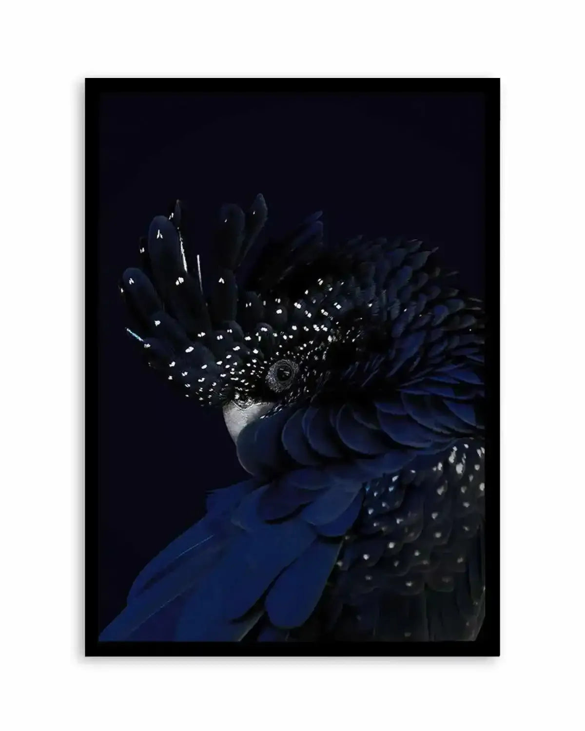 Black Cockatoo Art Print from Olive et Oriel where you can shop wallpaper and artworks online