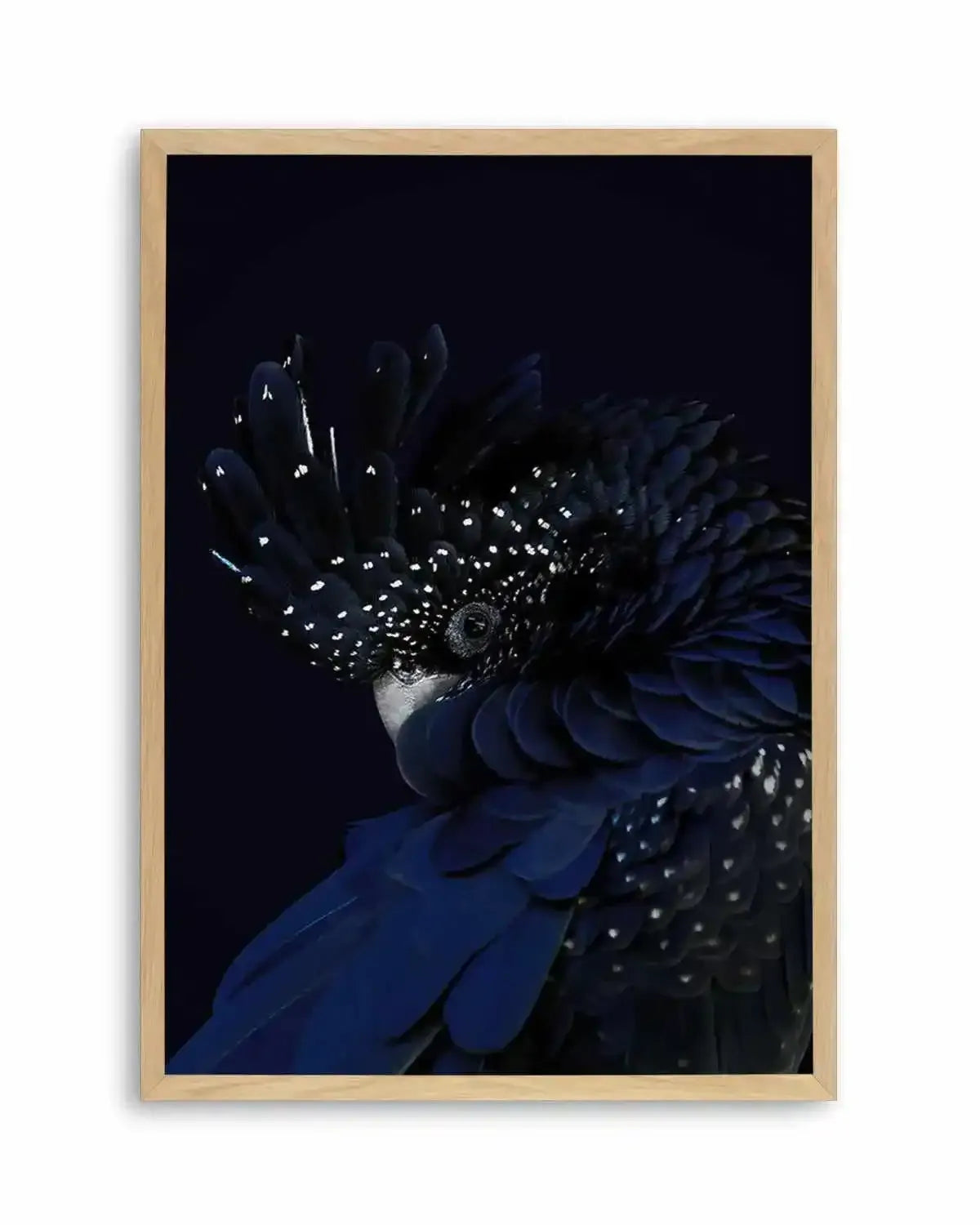 Black Cockatoo Art Print from Olive et Oriel where you can shop wallpaper and artworks online