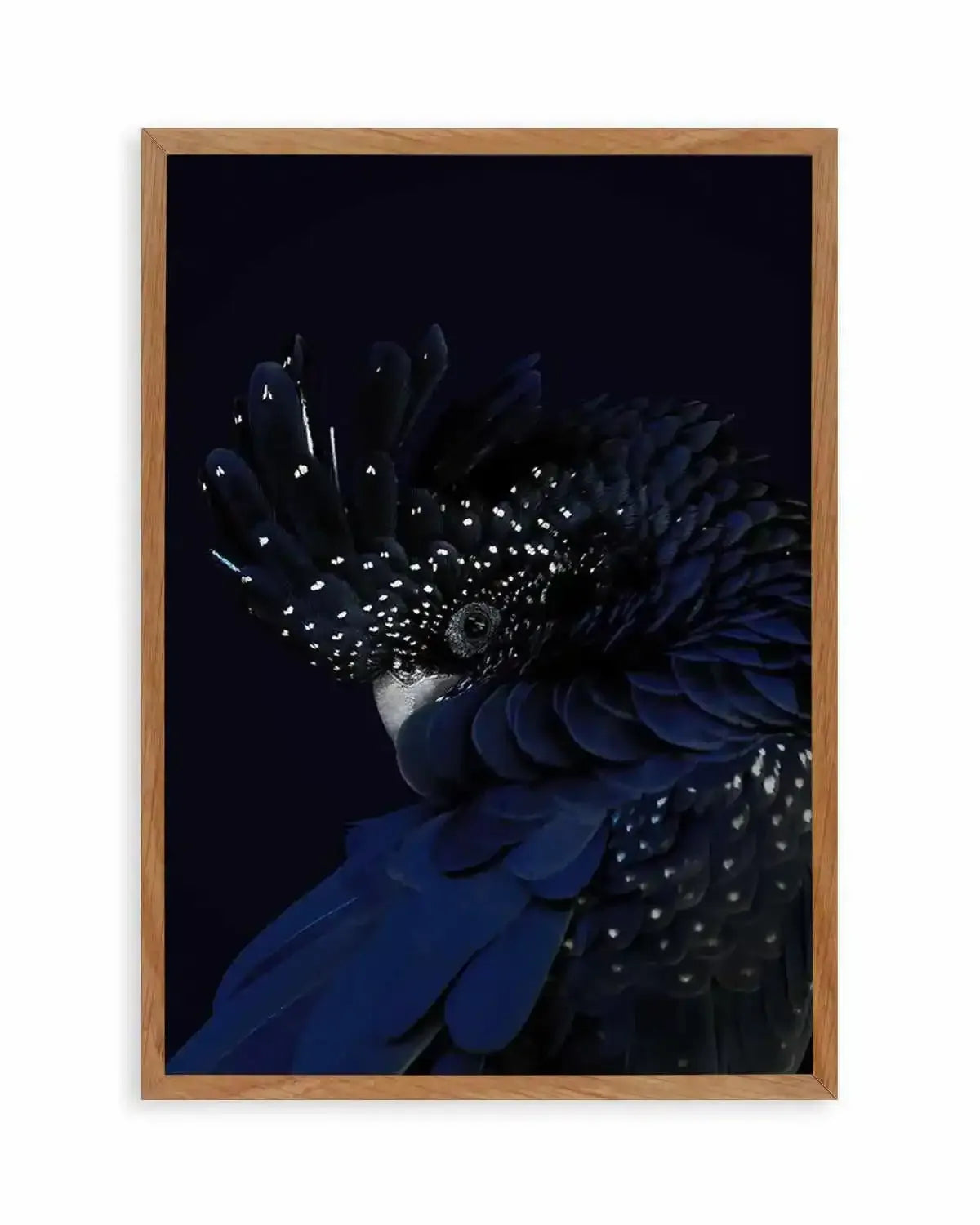 Black Cockatoo Art Print from Olive et Oriel where you can shop wallpaper and artworks online