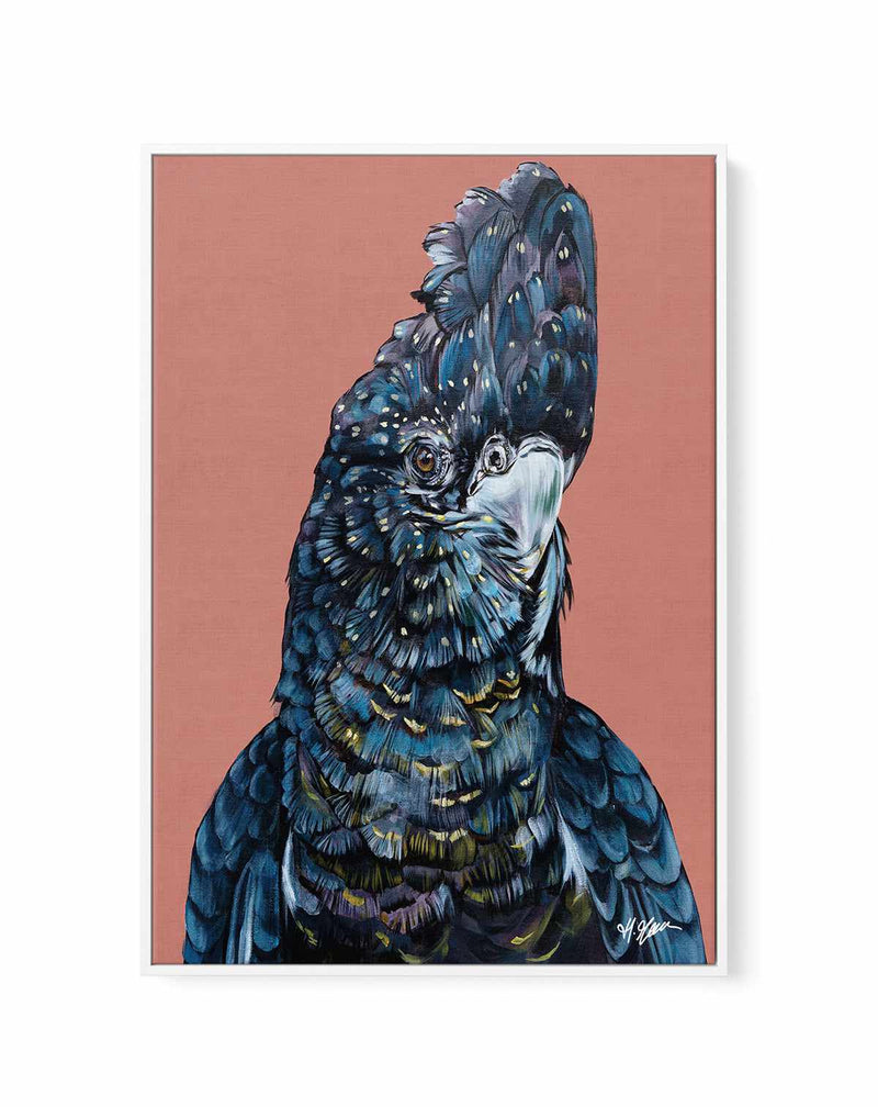 Black Cockatoo I by Heylie Morris | Framed Canvas Art Print