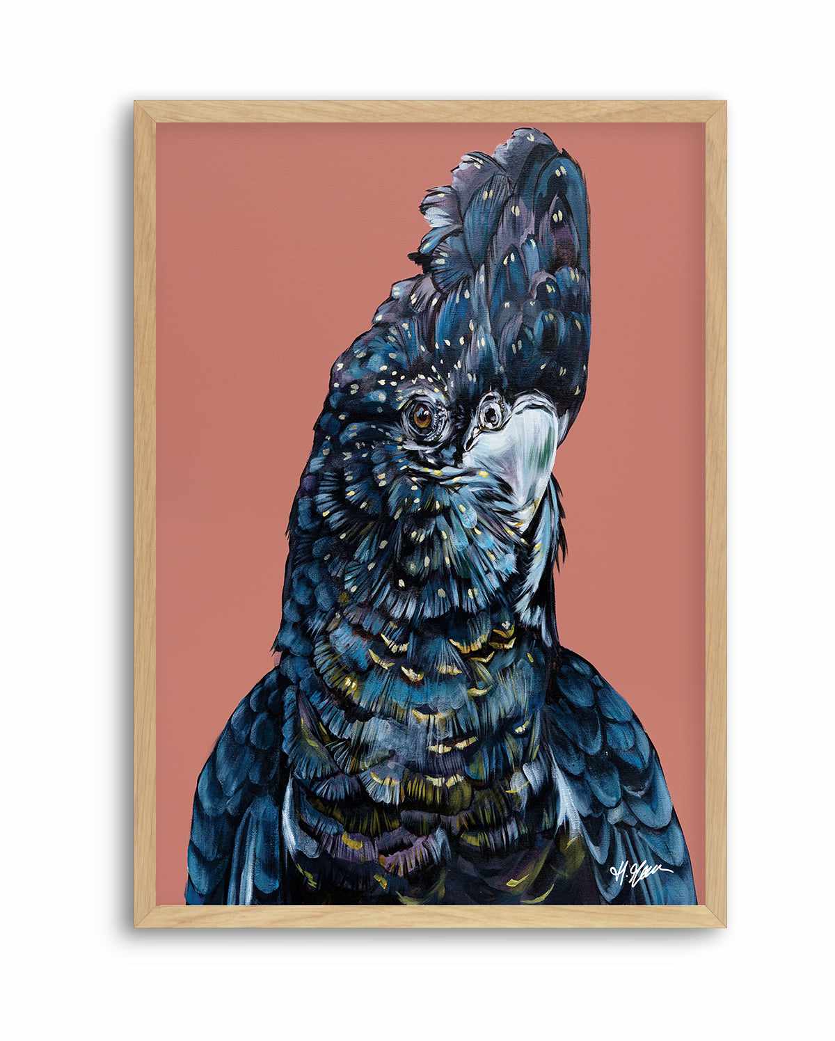 Black Cockatoo I by Heylie Morris | Art Print from Olive et Oriel where you can shop wallpaper and artworks online