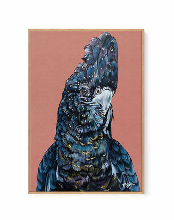 Black Cockatoo I by Heylie Morris | Framed Canvas Art Print from Olive et Oriel where you can shop wallpaper and artworks online