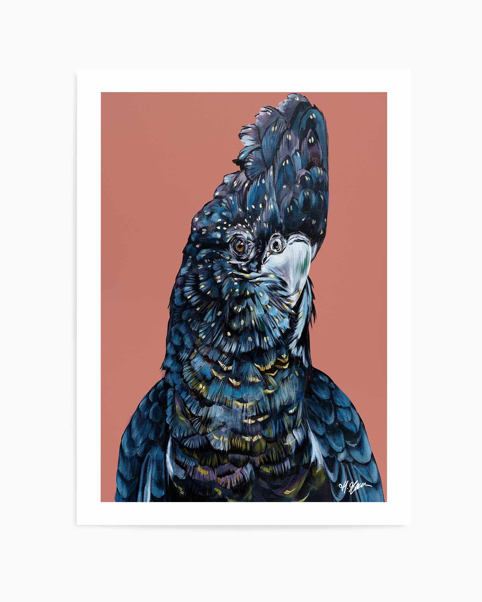 Black Cockatoo I by Heylie Morris | Art Print from Olive et Oriel where you can shop wallpaper and artworks online