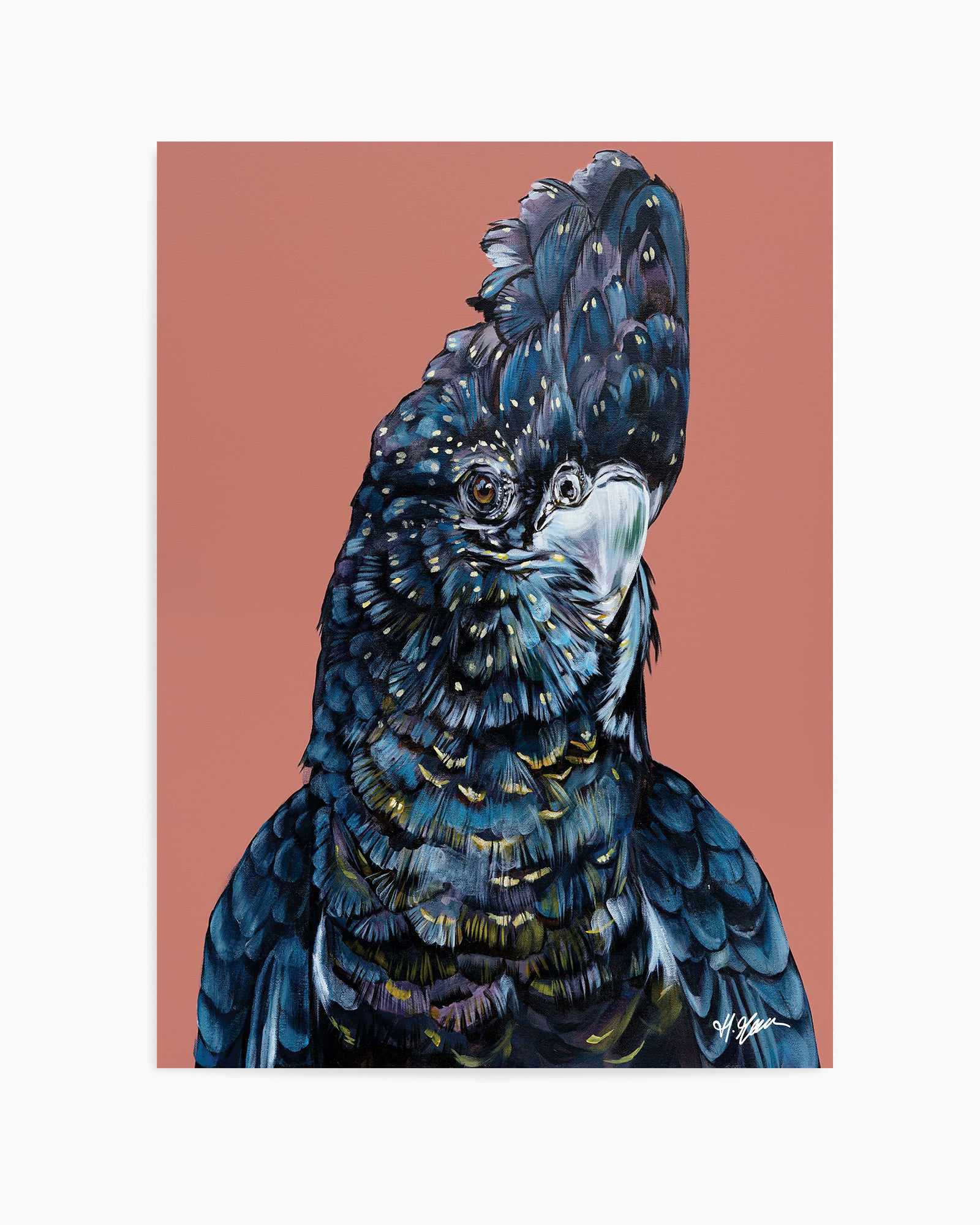 Black Cockatoo I by Heylie Morris | Art Print from Olive et Oriel where you can shop wallpaper and artworks online