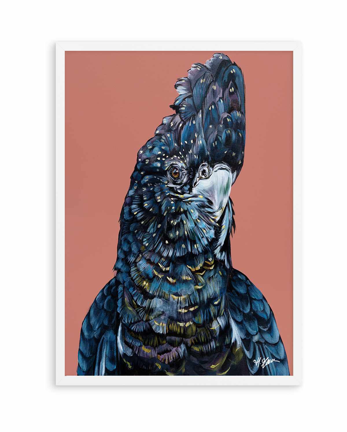 Black Cockatoo I by Heylie Morris | Art Print from Olive et Oriel where you can shop wallpaper and artworks online