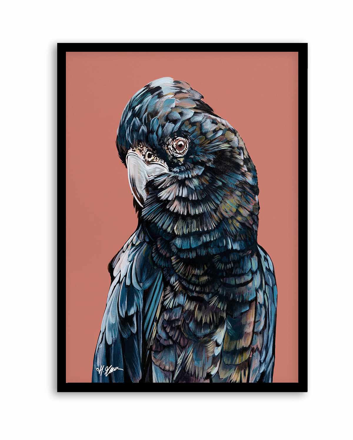 Black Cockatoo II by Heylie Morris | Art Print