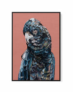 Black Cockatoo II by Heylie Morris | Framed Canvas Art Print