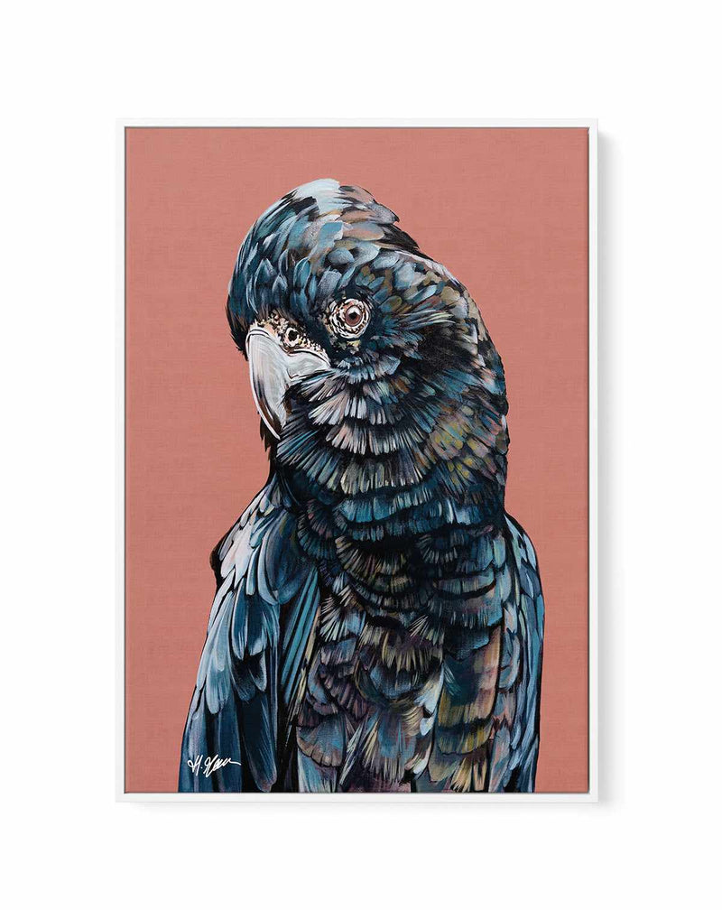 Black Cockatoo II by Heylie Morris | Framed Canvas Art Print