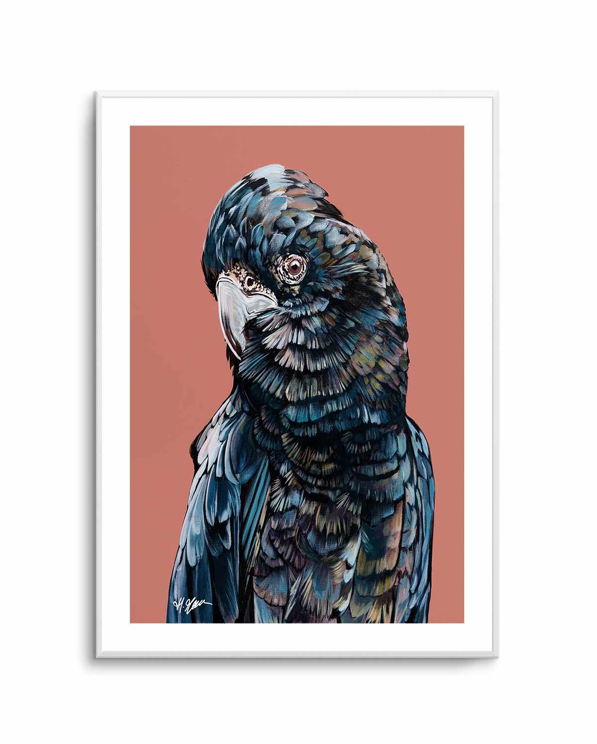 Black Cockatoo II by Heylie Morris | Art Print