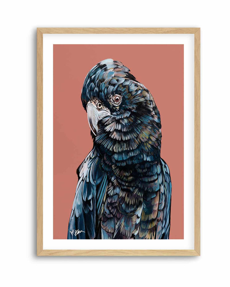 Black Cockatoo II by Heylie Morris | Art Print
