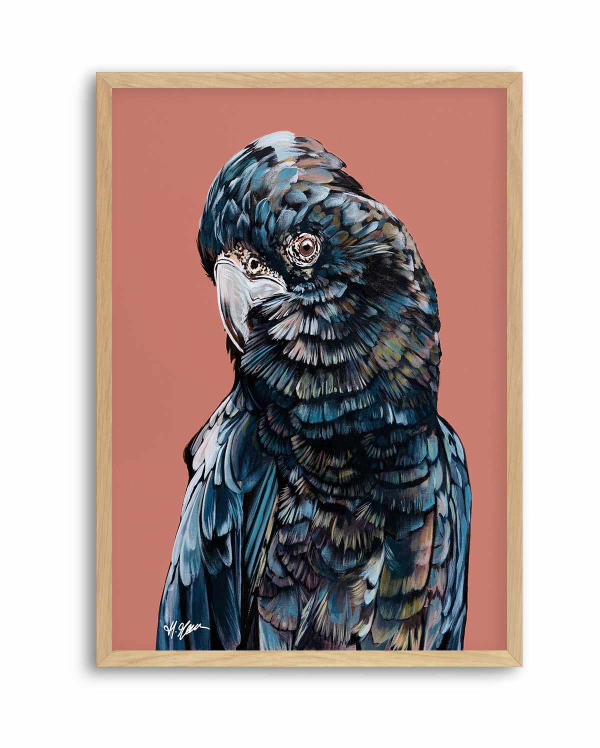 Black Cockatoo II by Heylie Morris | Art Print