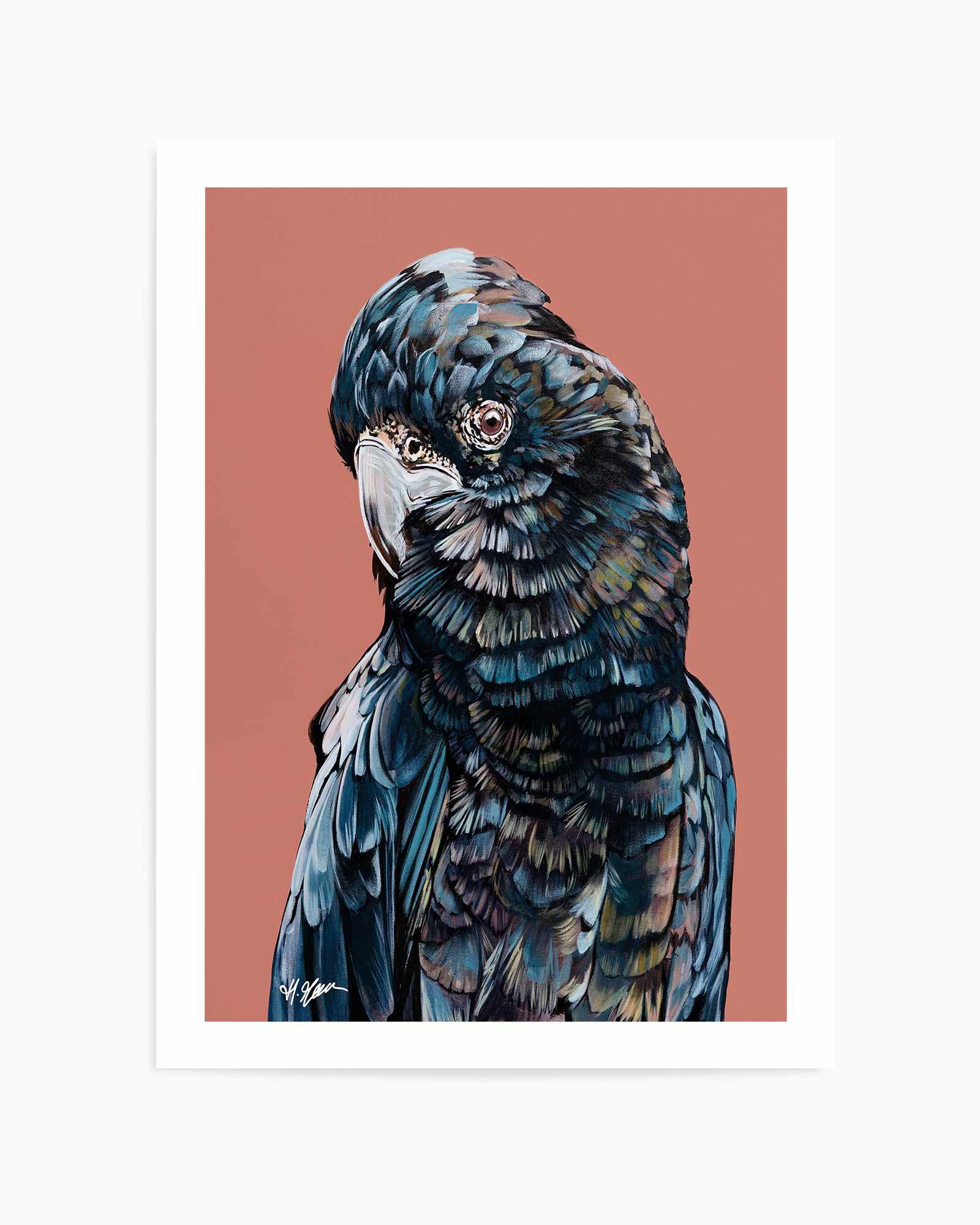 Black Cockatoo II by Heylie Morris | Art Print