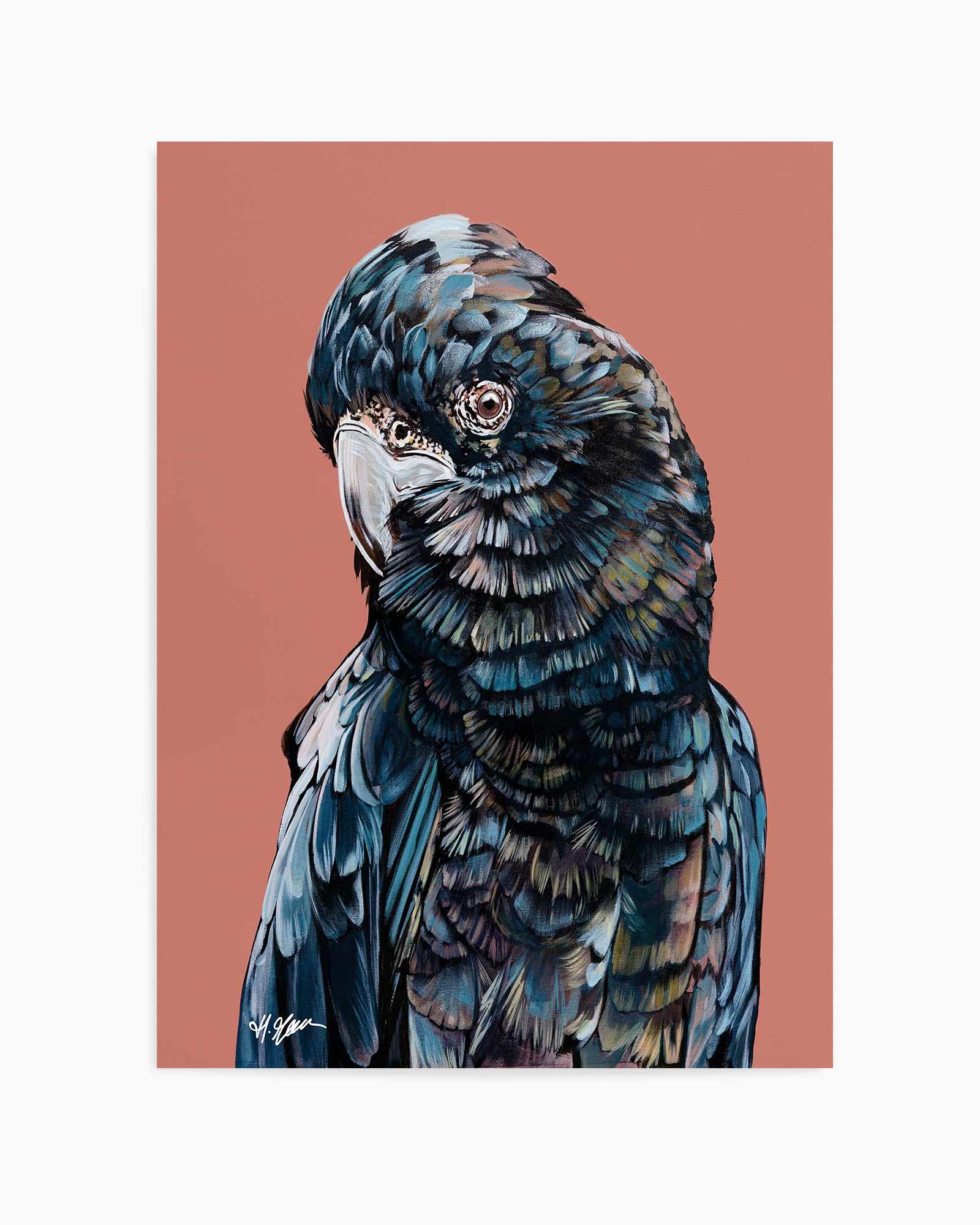 Black Cockatoo II by Heylie Morris | Art Print