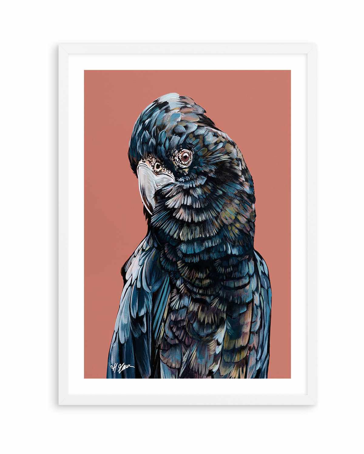 Black Cockatoo II by Heylie Morris | Art Print