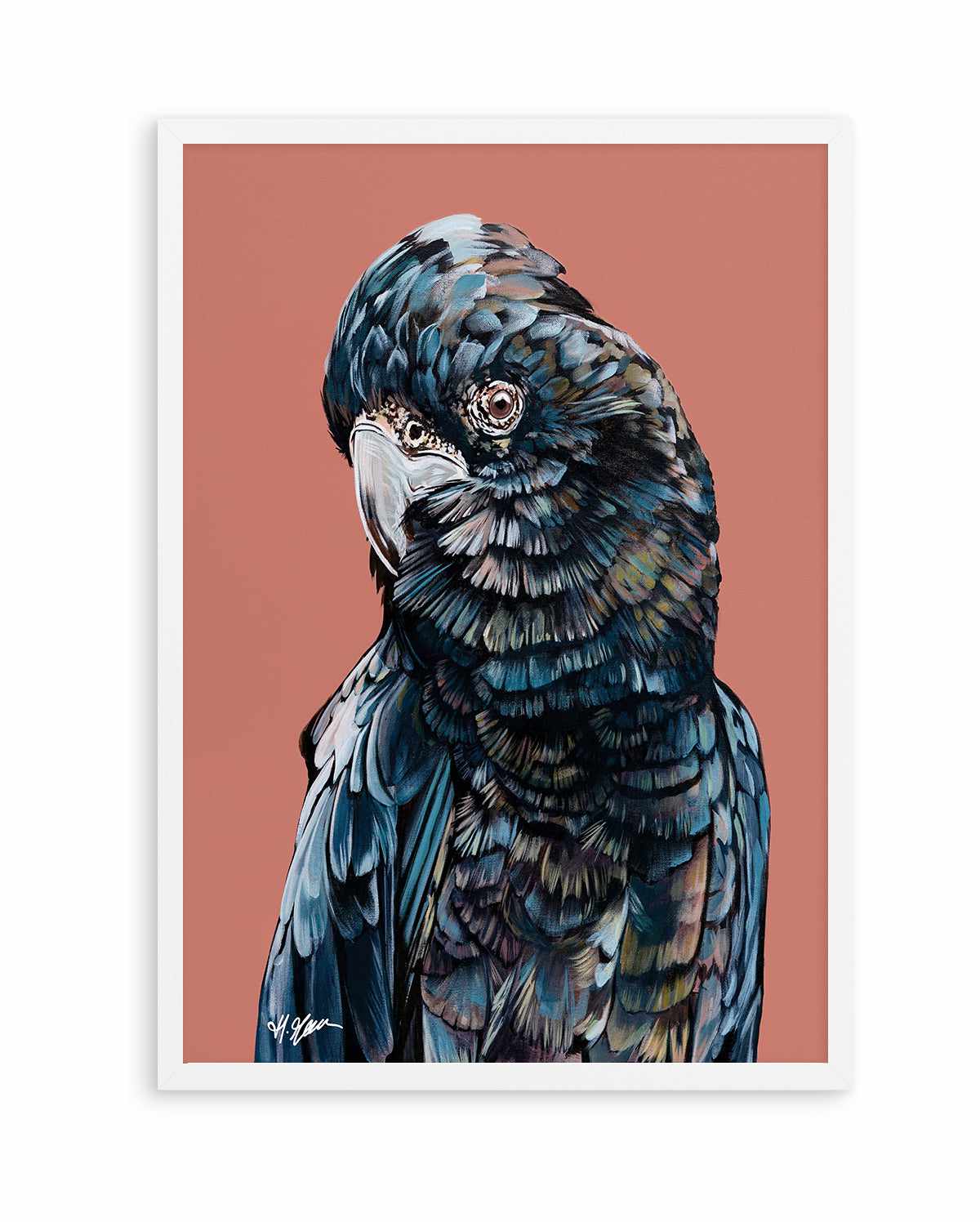 Black Cockatoo II by Heylie Morris | Art Print