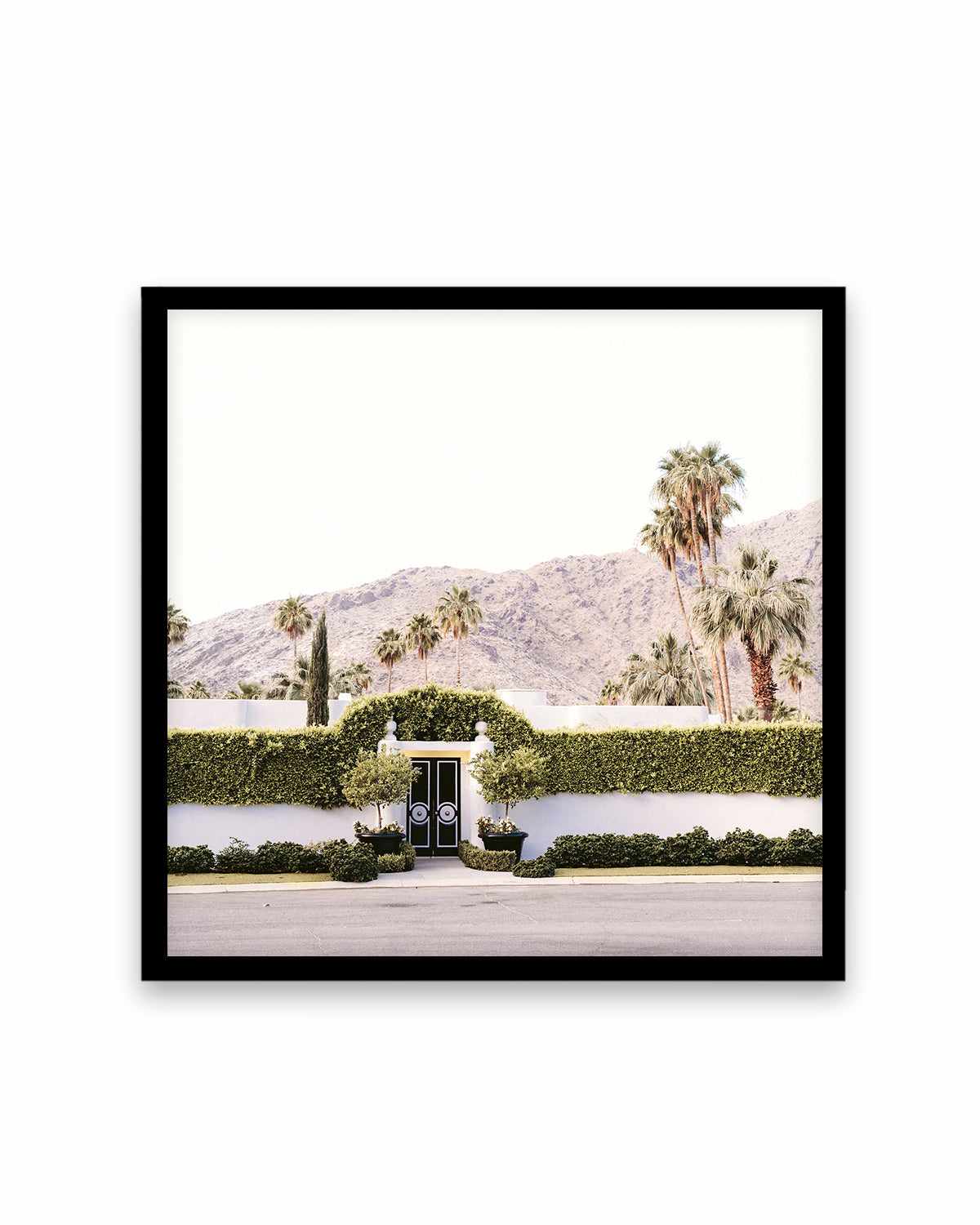 Black Gate, Palm Springs Art Print