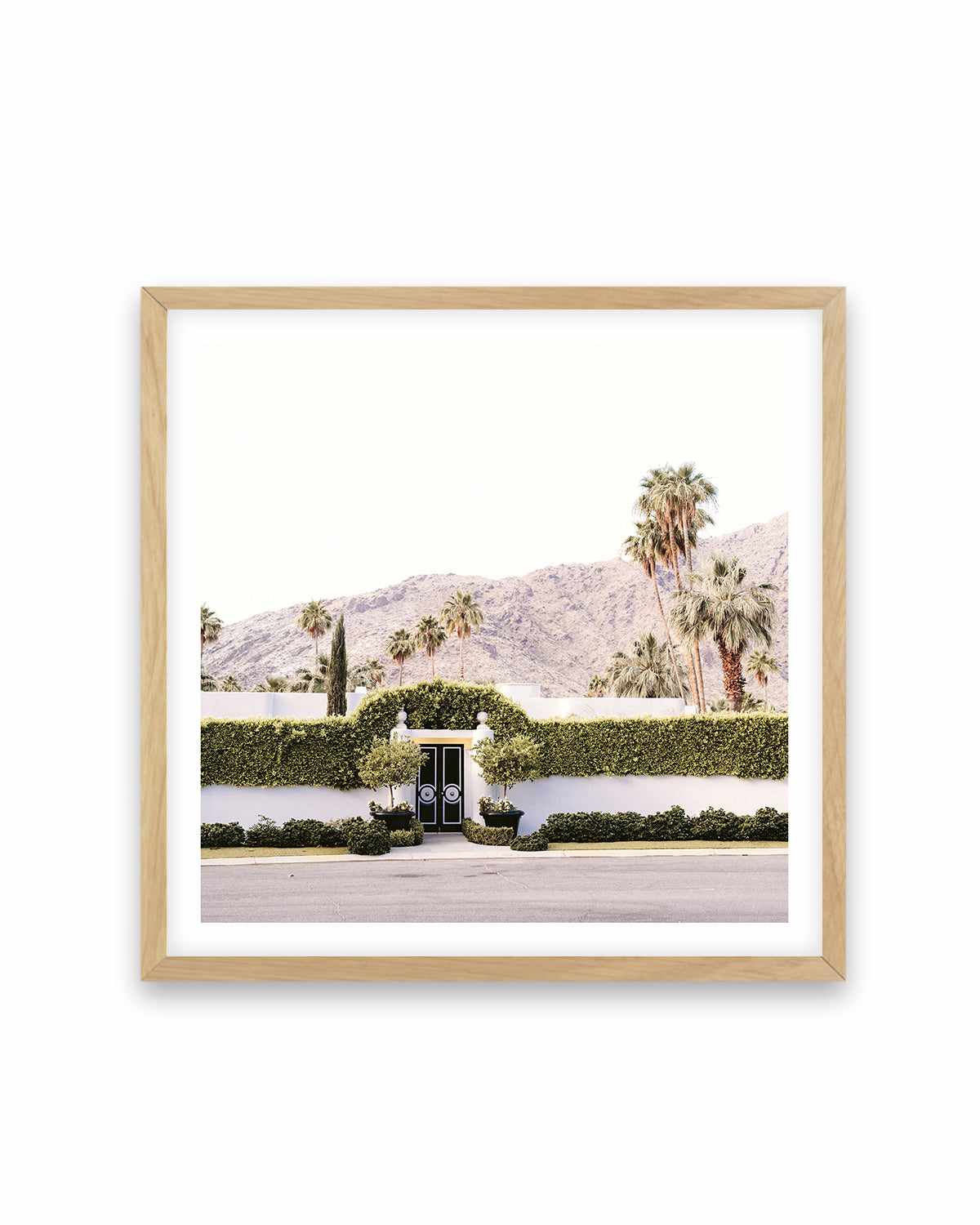 Black Gate, Palm Springs Art Print