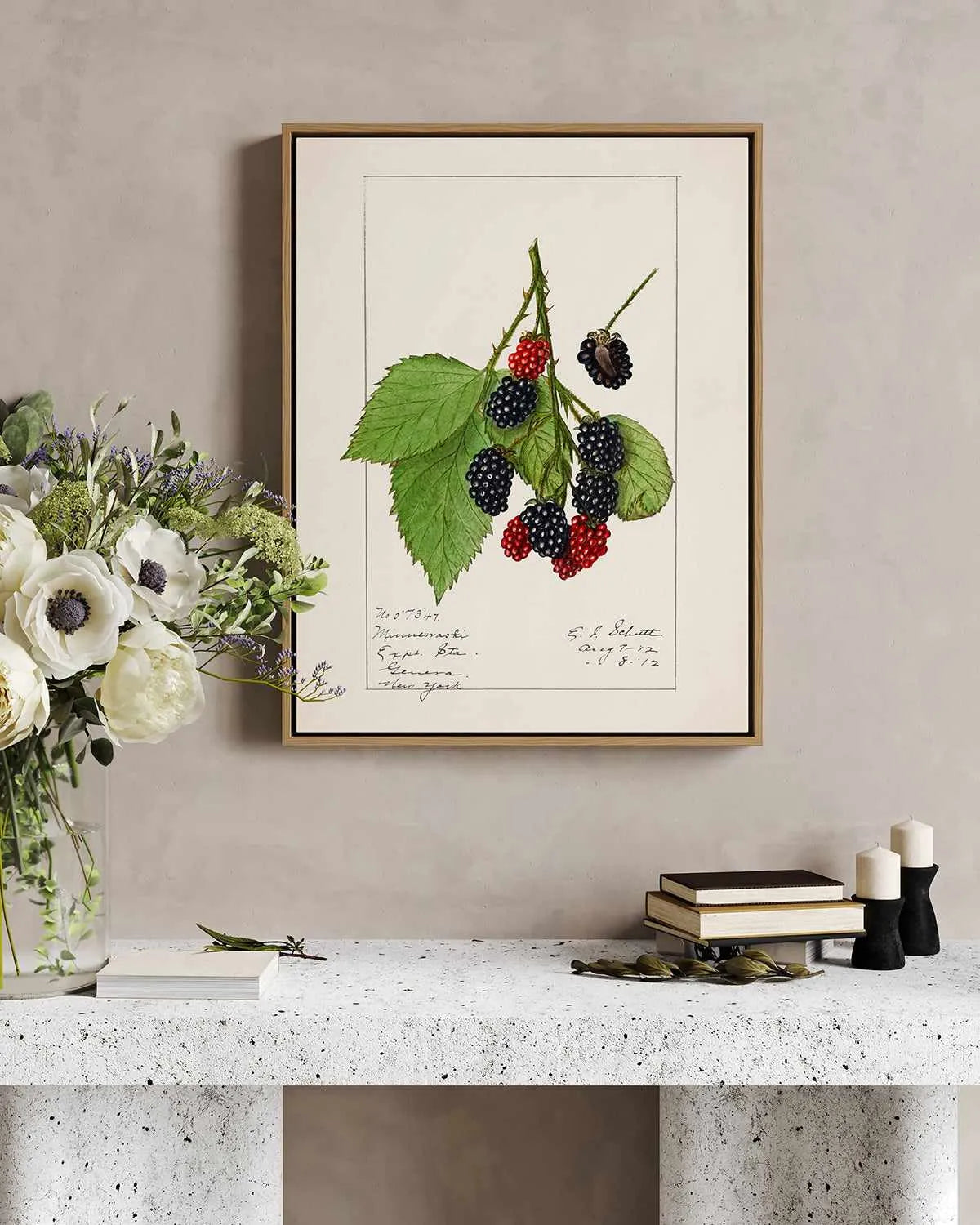 Blackberries Vintage Poster | Framed Canvas Art Print from Olive et Oriel where you can shop wallpaper and artworks online