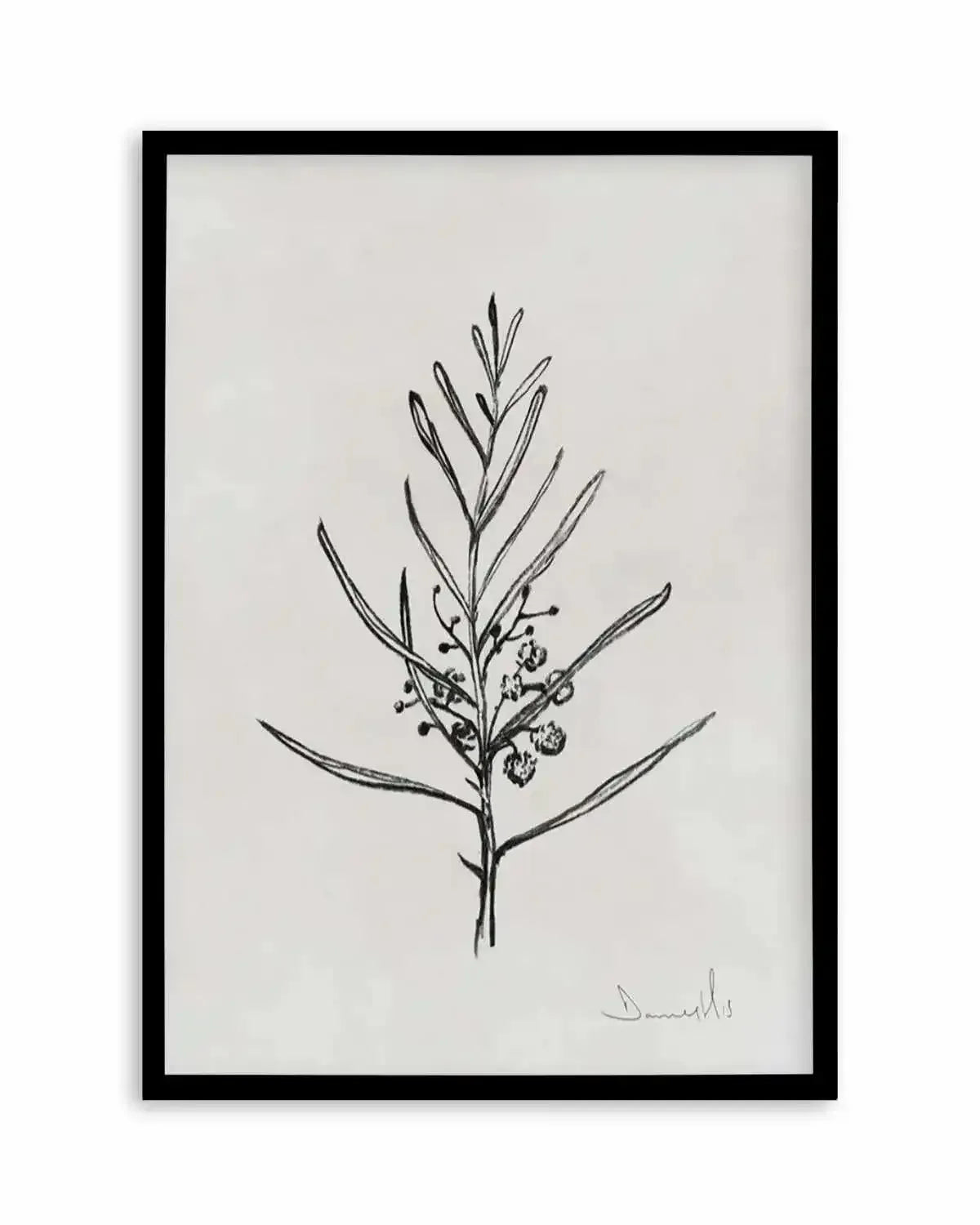 Blackwood Sapling by Dan Hobday Art Print from Olive et Oriel where you can shop wallpaper and artworks online