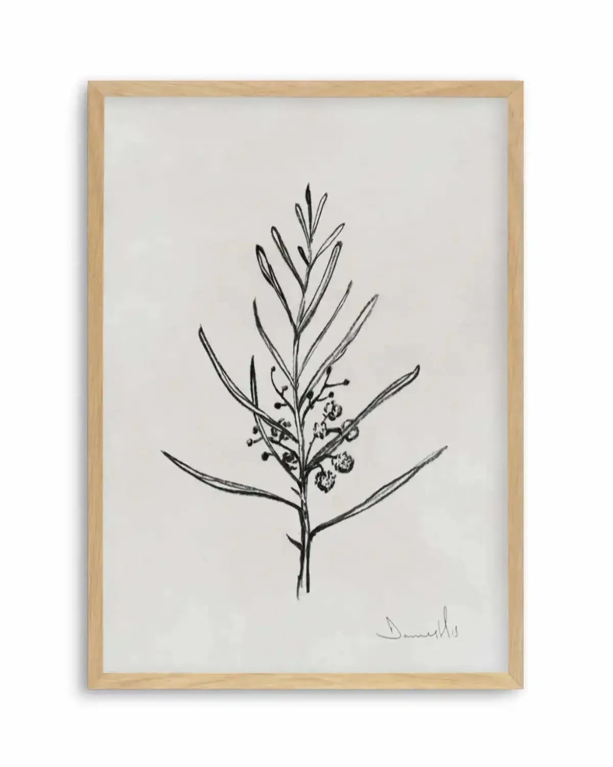 Blackwood Sapling by Dan Hobday Art Print from Olive et Oriel where you can shop wallpaper and artworks online
