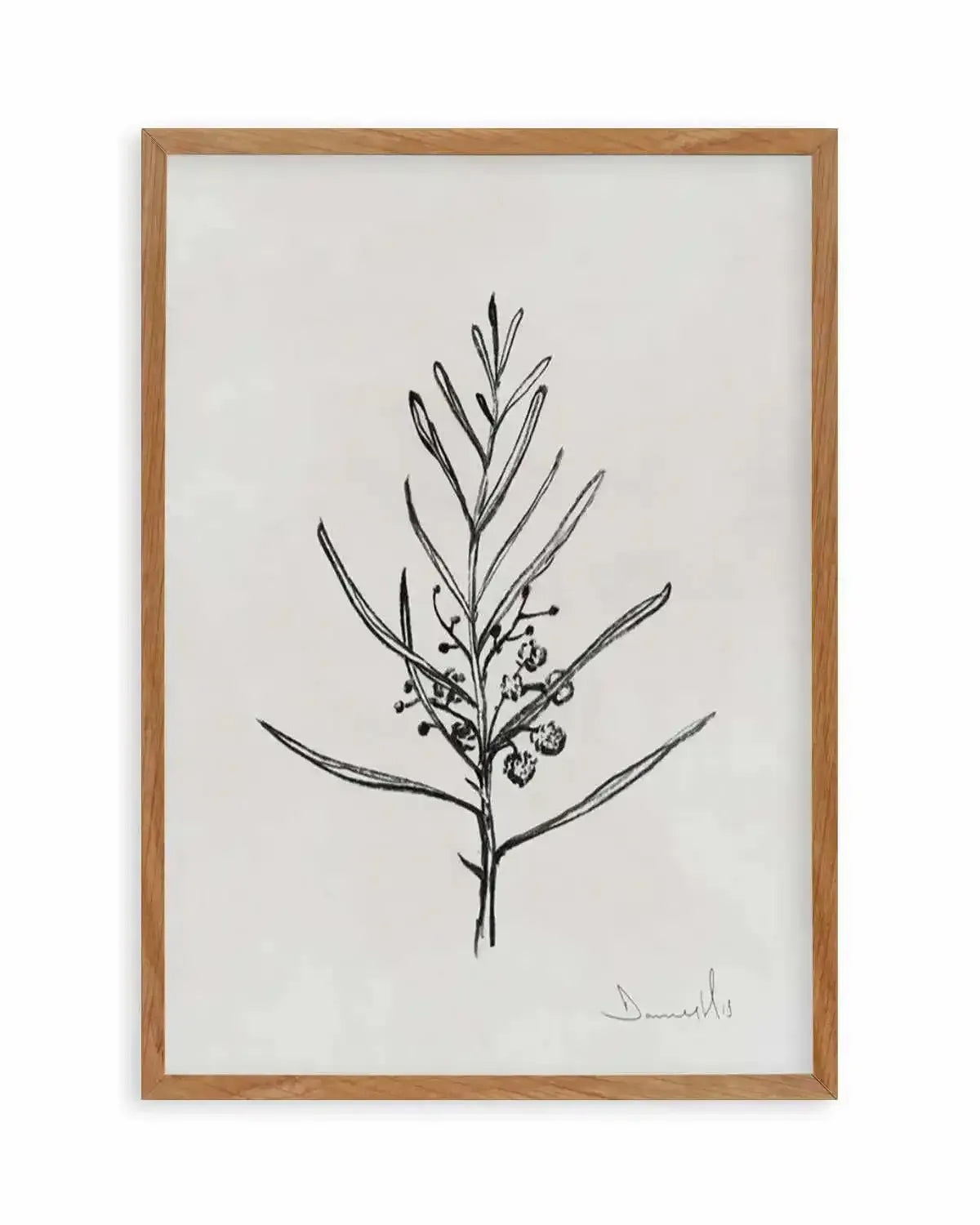 Blackwood Sapling by Dan Hobday Art Print from Olive et Oriel where you can shop wallpaper and artworks online