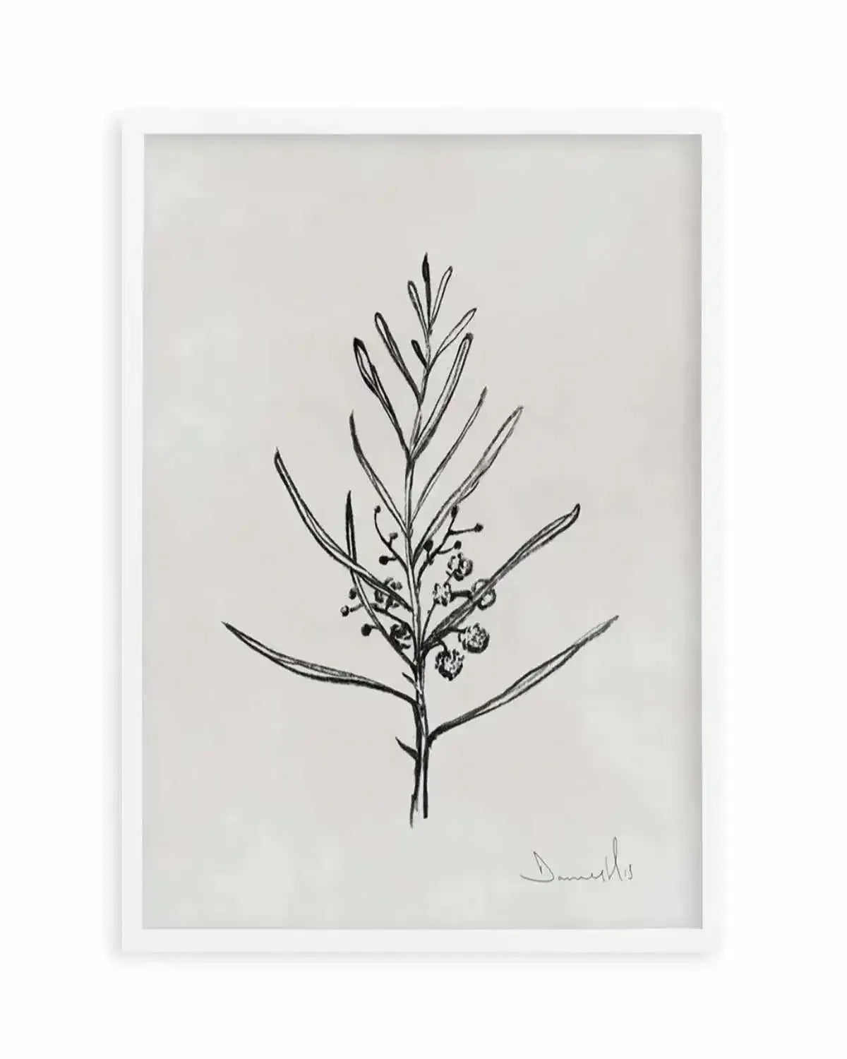 Blackwood Sapling by Dan Hobday Art Print from Olive et Oriel where you can shop wallpaper and artworks online