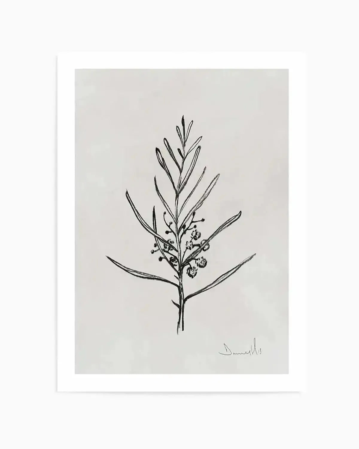 Blackwood Sapling by Dan Hobday Art Print from Olive et Oriel where you can shop wallpaper and artworks online