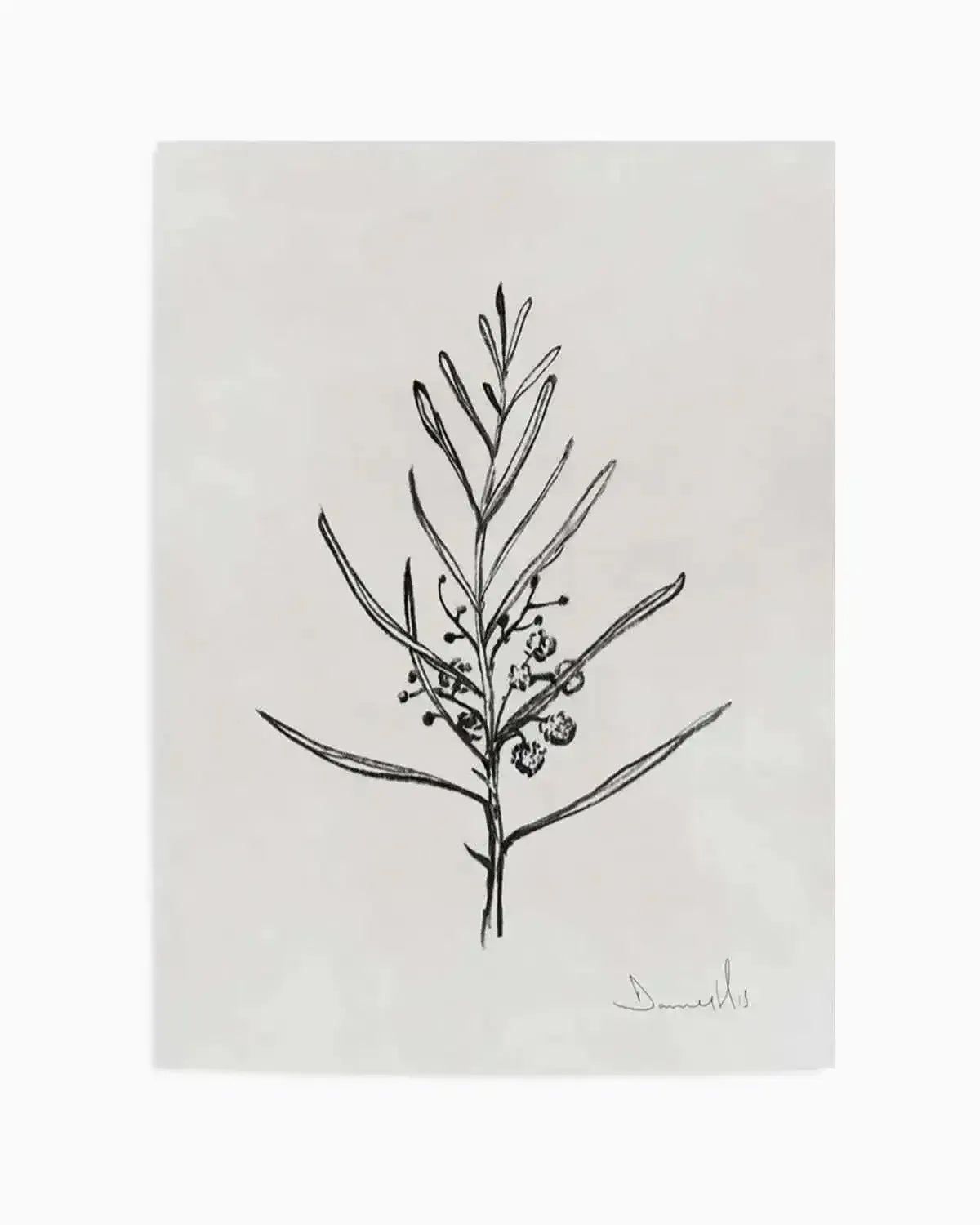 Blackwood Sapling by Dan Hobday Art Print from Olive et Oriel where you can shop wallpaper and artworks online