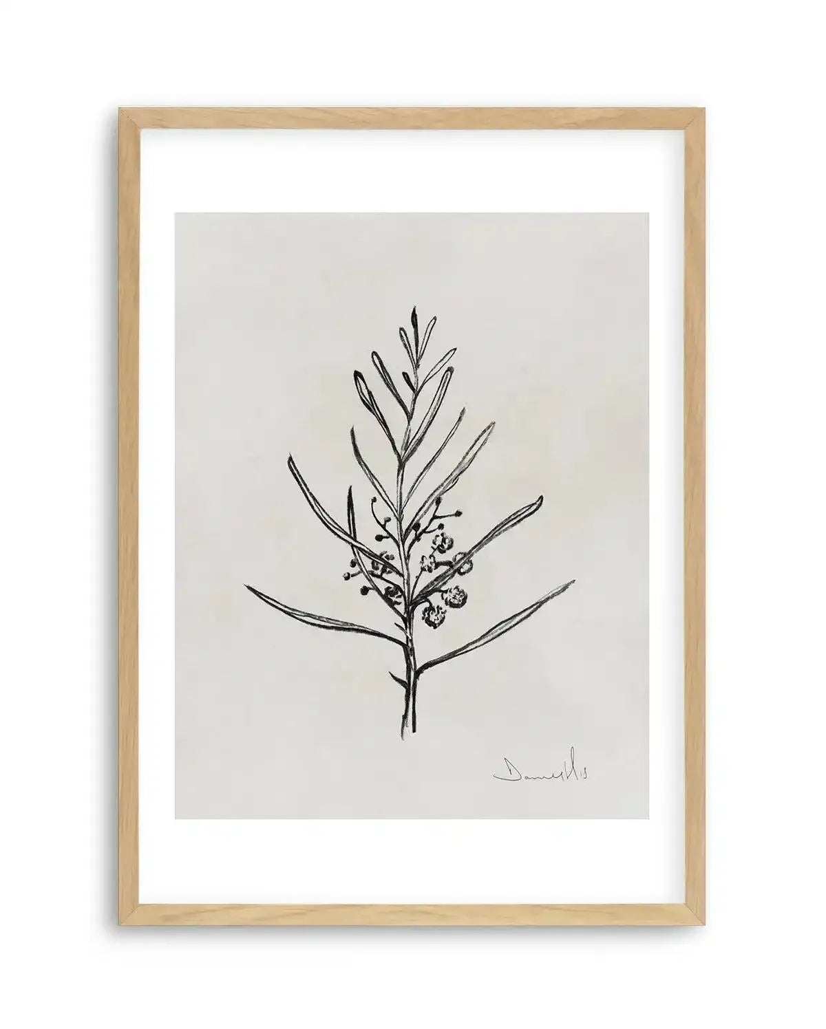 Blackwood Sapling by Dan Hobday Art Print-PRINT-Olive et Oriel-Dan Hobday-A5 | 5.8" x 8.3" | 14.8 x 21cm-Oak-With White Border-Buy-Australian-Art-Prints-Online-with-Olive-et-Oriel-Your-Artwork-Specialists-Austrailia-Decorate-With-Coastal-Photo-Wall-Art-Prints-From-Our-Beach-House-Artwork-Collection-Fine-Poster-and-Framed-Artwork