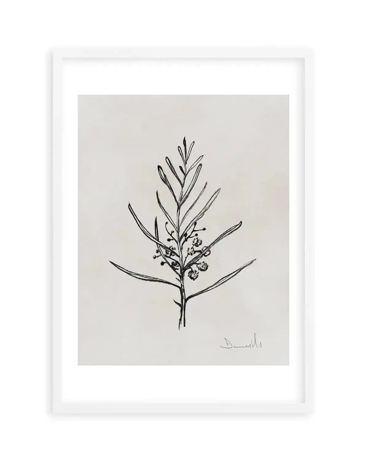 Blackwood Sapling by Dan Hobday Art Print-PRINT-Olive et Oriel-Dan Hobday-A5 | 5.8" x 8.3" | 14.8 x 21cm-White-With White Border-Buy-Australian-Art-Prints-Online-with-Olive-et-Oriel-Your-Artwork-Specialists-Austrailia-Decorate-With-Coastal-Photo-Wall-Art-Prints-From-Our-Beach-House-Artwork-Collection-Fine-Poster-and-Framed-Artwork